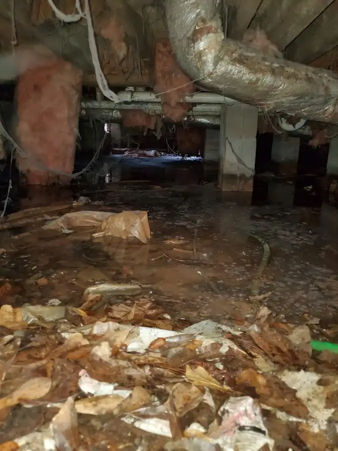 Crawl space flood assessment for Commercial Water Damage Restoration in Lynwood