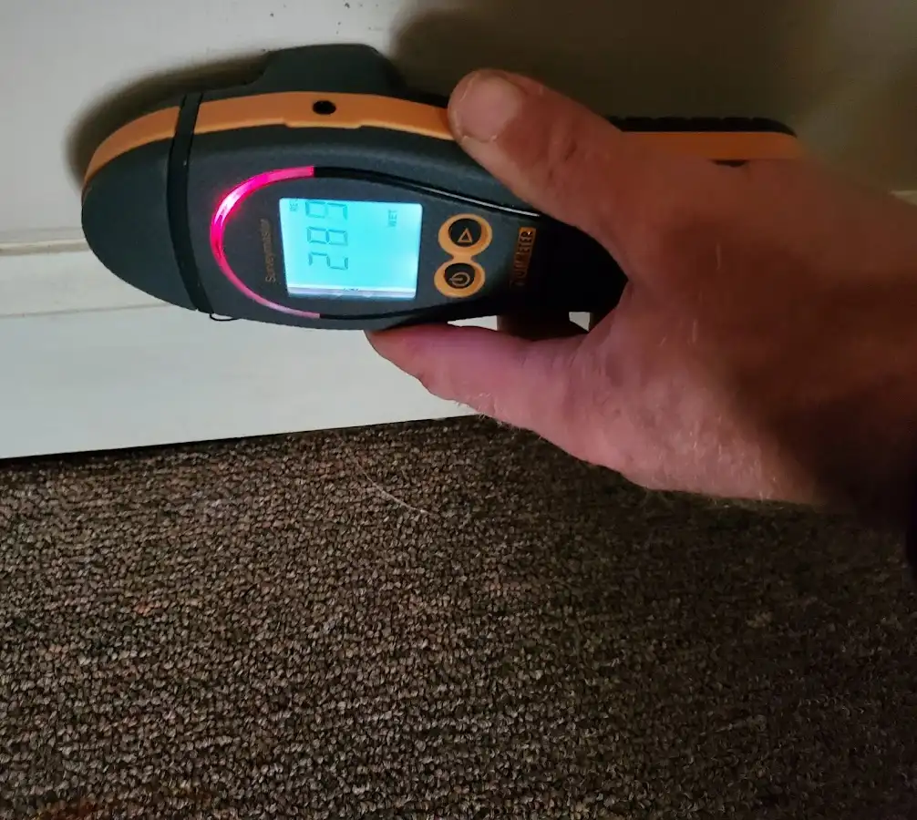 Moisture detection at baseboard during Sewage Cleanup & Sanitation in Lynwood